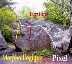 morpho-epice-pixel.jpg